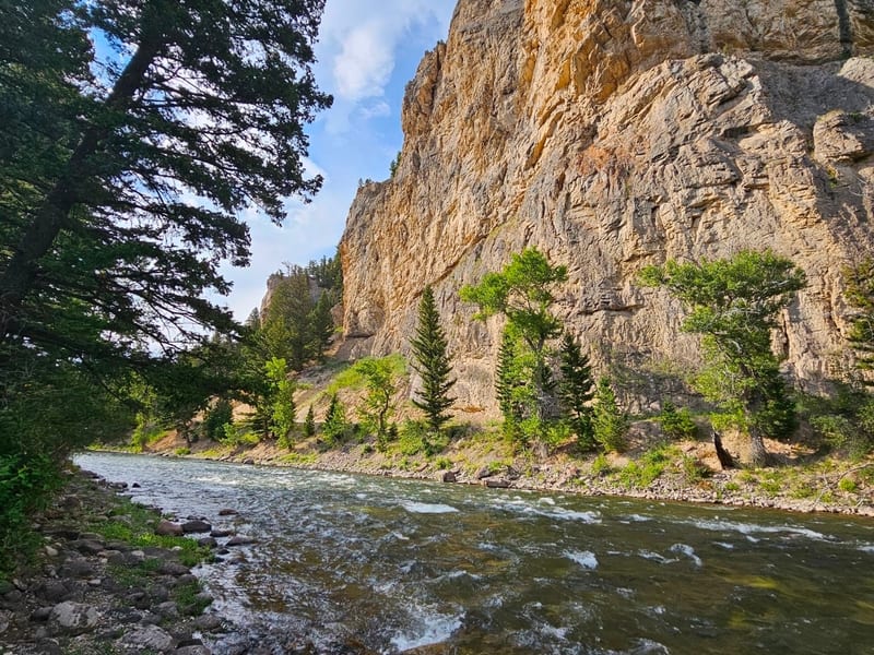 Gallatin River canyon fly fishing